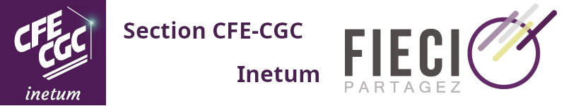 CFE-CGC Inetum